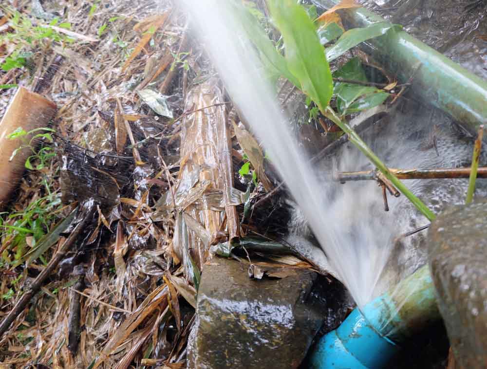 leaking water line
